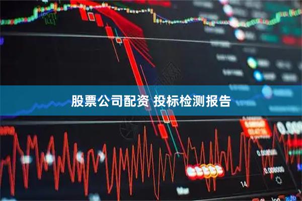 股票公司配资 投标检测报告