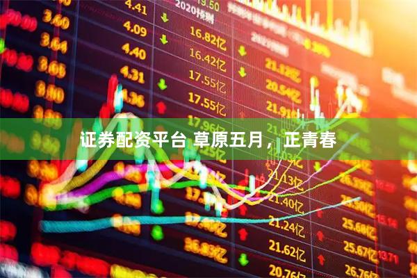 证券配资平台 草原五月，正青春