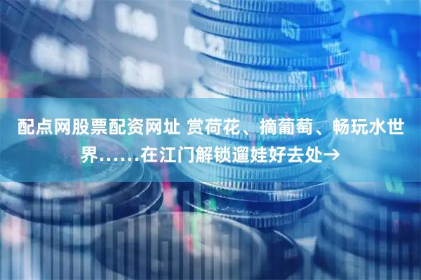 配点网股票配资网址 赏荷花、摘葡萄、畅玩水世界……在江门解锁遛娃好去处→